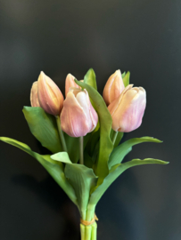 Tulp Old Pink 30cm