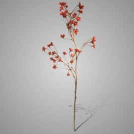 Cornus Orange 92 cm BA31011-CR