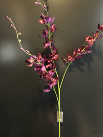 LA0145-DKPU Cymbidium Dark Pink 78cm