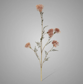 Shield Flower Spray Mauve 83 Cm 1430-13