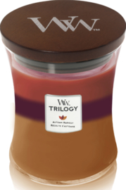 WW Trilogy Autumn Harvest Medium Candle