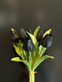 Tulp Black 30cm