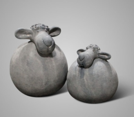 SET OF 2 SHEEP TOUCH OF BROWN 16/12x17/12 3035M