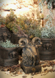 Statue Ram Majestic Brown 19X16X27 A7928-10