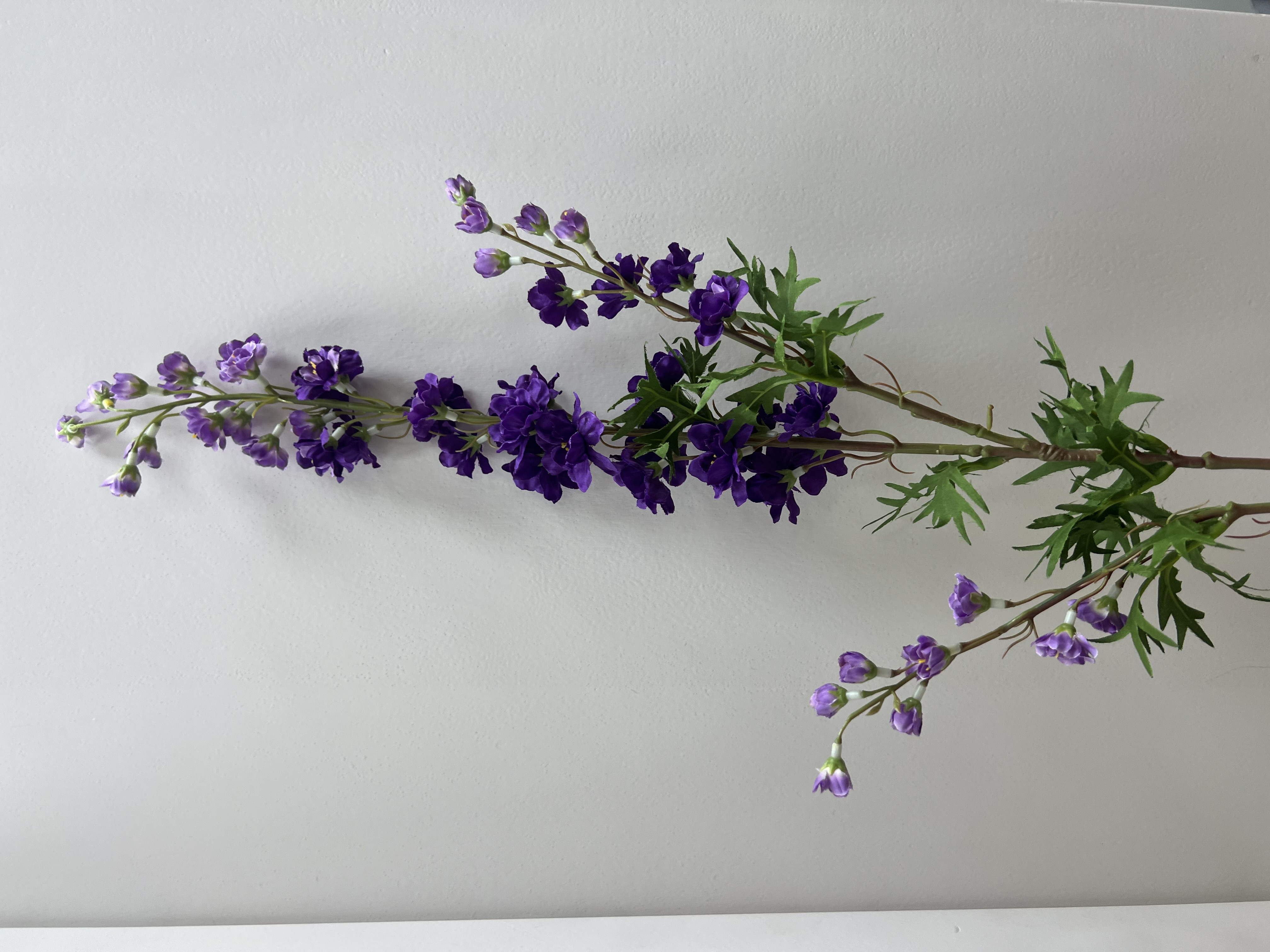 Flower mini Delphinium Dark Purple 85cm