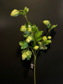 Hop 70cm