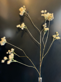 Queen Anne Lace Branch off white  123cm