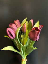 Tulp Old Mauve 30cm