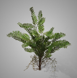 Fern Bush Green 55 cm XHL710