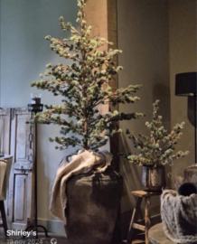 X -Tree Larix Grey Green M D.60 H.80