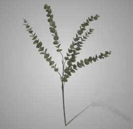 Eucalyptus Stem Grey Green 71 cm XHL-5268-ZF