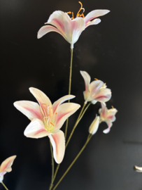 Day Lily White and Pink +- 107CM