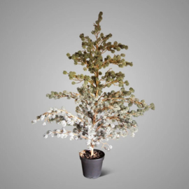 X -Tree Larix Grey Green L D.122 H.160