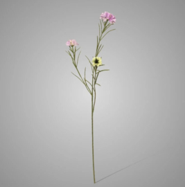 Centaurea spray lavender 68cm 22017-4