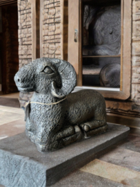 Ram Black and Sand  Circa H.40 L.50 D.20