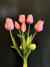 Tulp pink 45cm