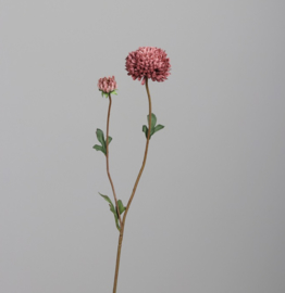 CHYSANTHEMUM, 63 CM, DARK-PINK