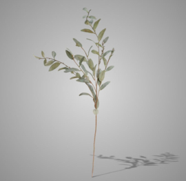 Salix Grey Green 102 cm YJ21206