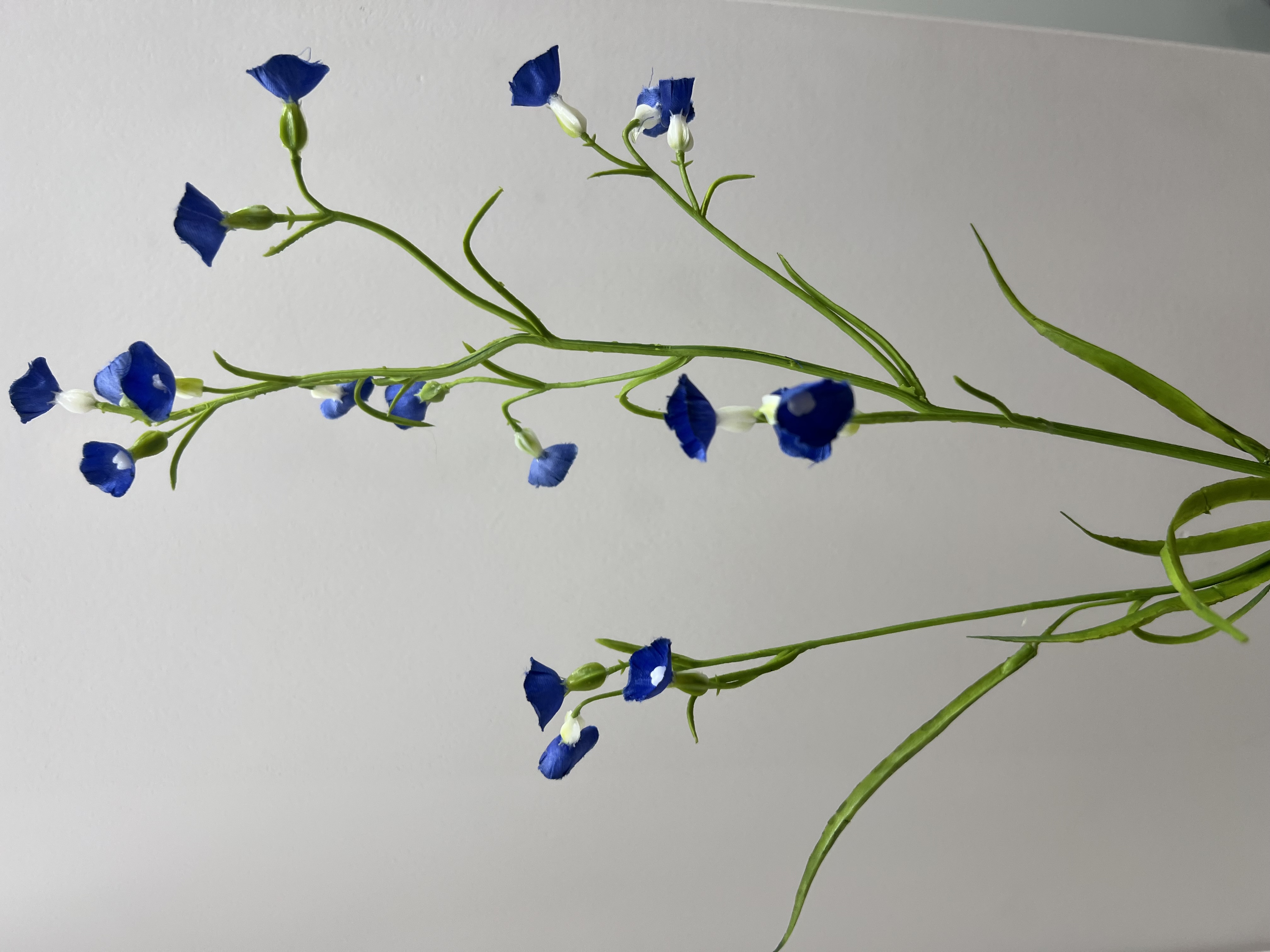 Flower Mini Nicotiana 75cm Bleu