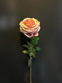 Rose Old Pink 75cm