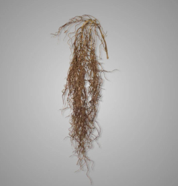 Twig Dried Wood Bush 90 cm XHL469
