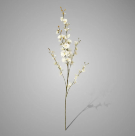 Oncidium Spring White 91 cm 168WH1
