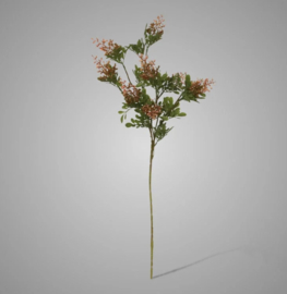 Enkianthus Old Pink 77 cm XHL-7066-JH3