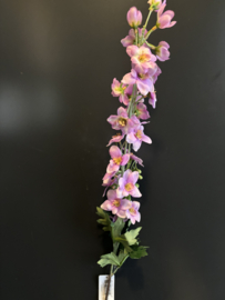 LA2764B-PK Delphinium Pink 79 cm