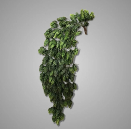 Humulus Green 73 cm XHL-5093-PS