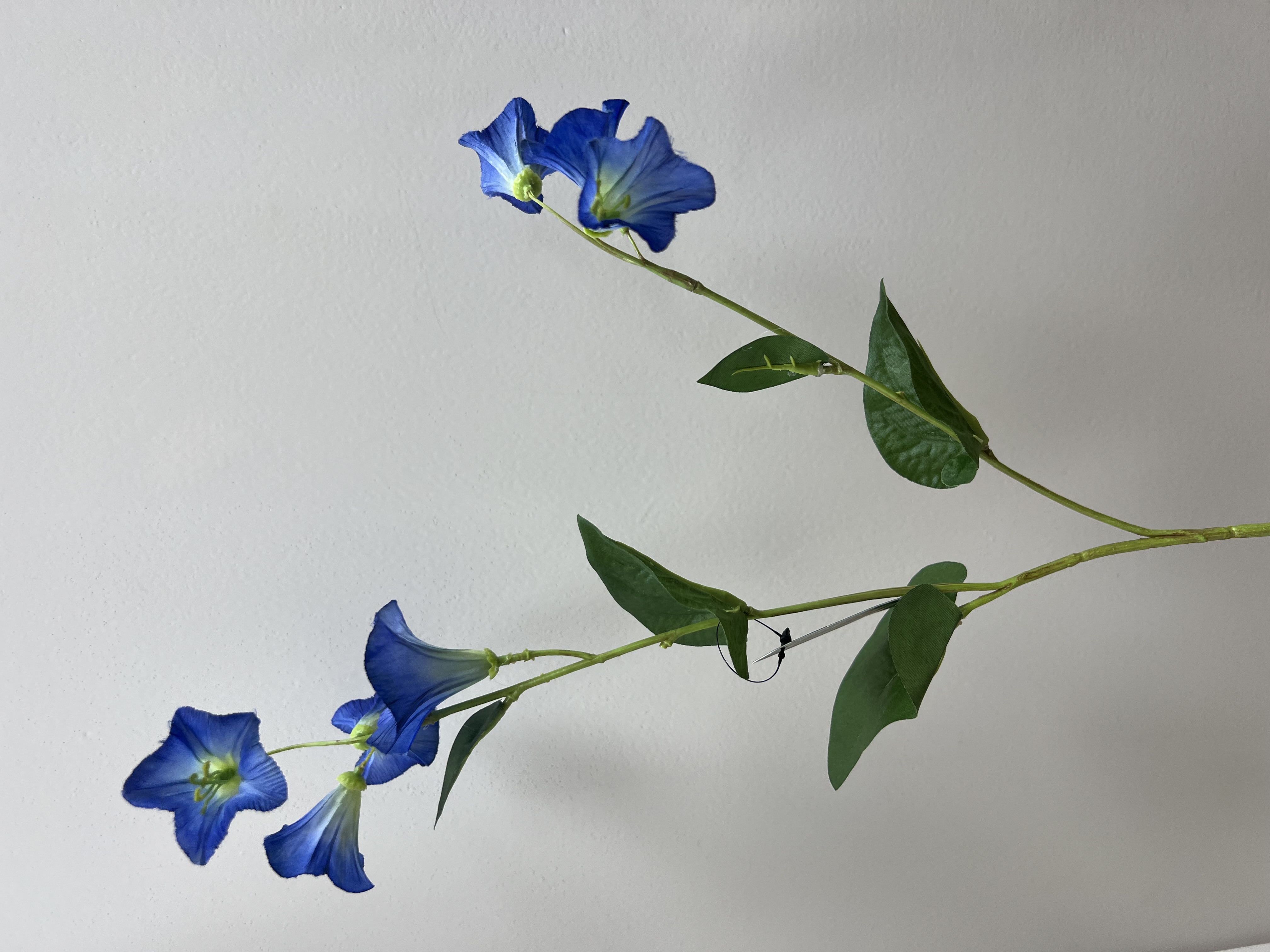 Flower Campanula 61cm Bleu