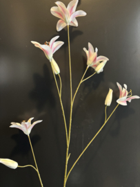 Day Lily White and Pink +- 107CM