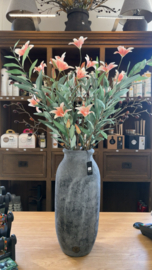 Day Lily Orange