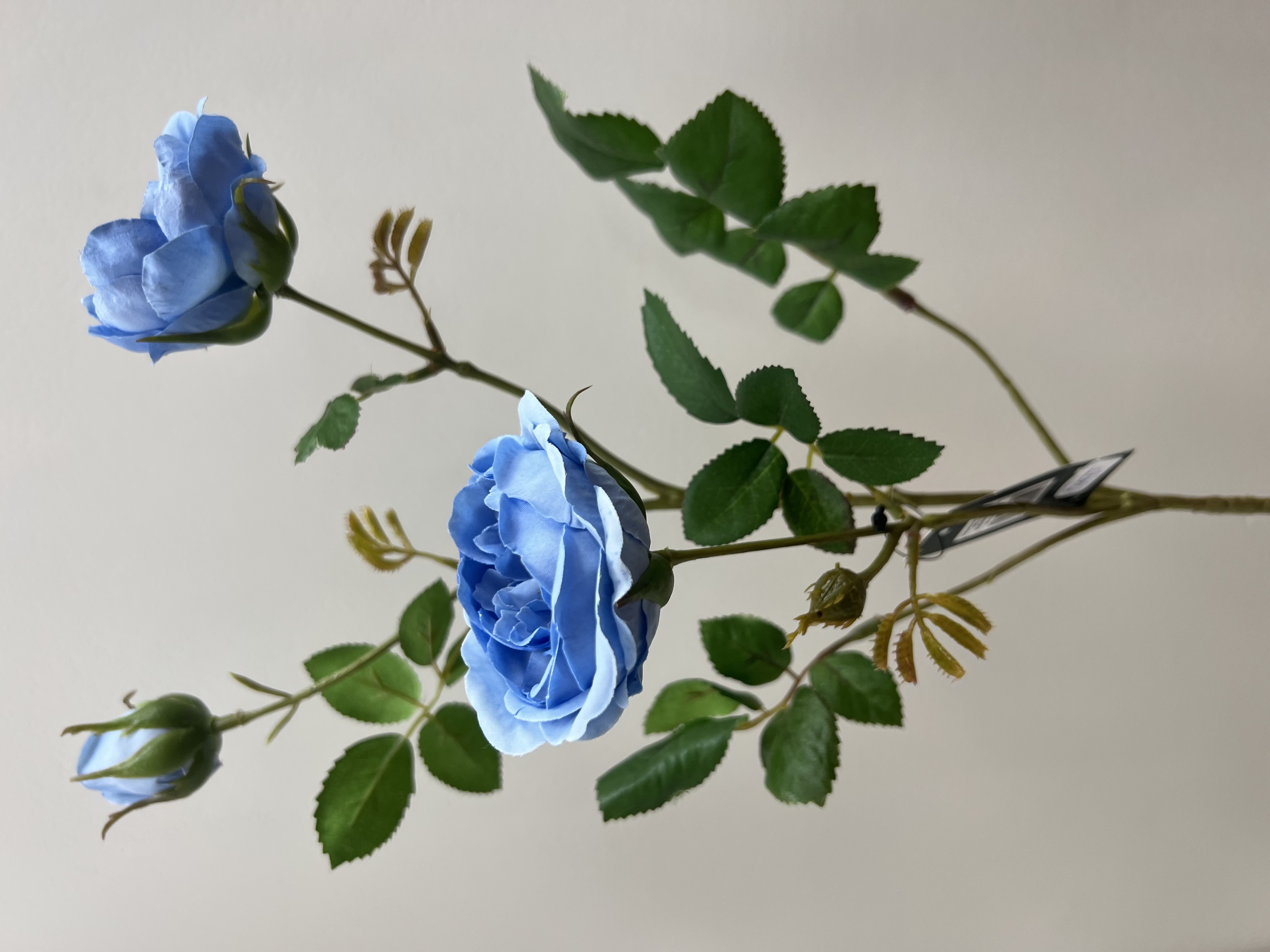 Flower Rosé Spray Bleu 72cm