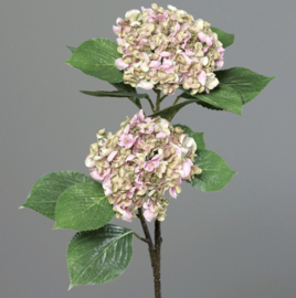 HYDRANGEA, 80 CM, GREEN-PINK