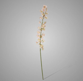 Deutzia spray pink 100cm 22003-7