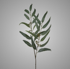 Brynxz Eucalypthuszweig, 93 cm