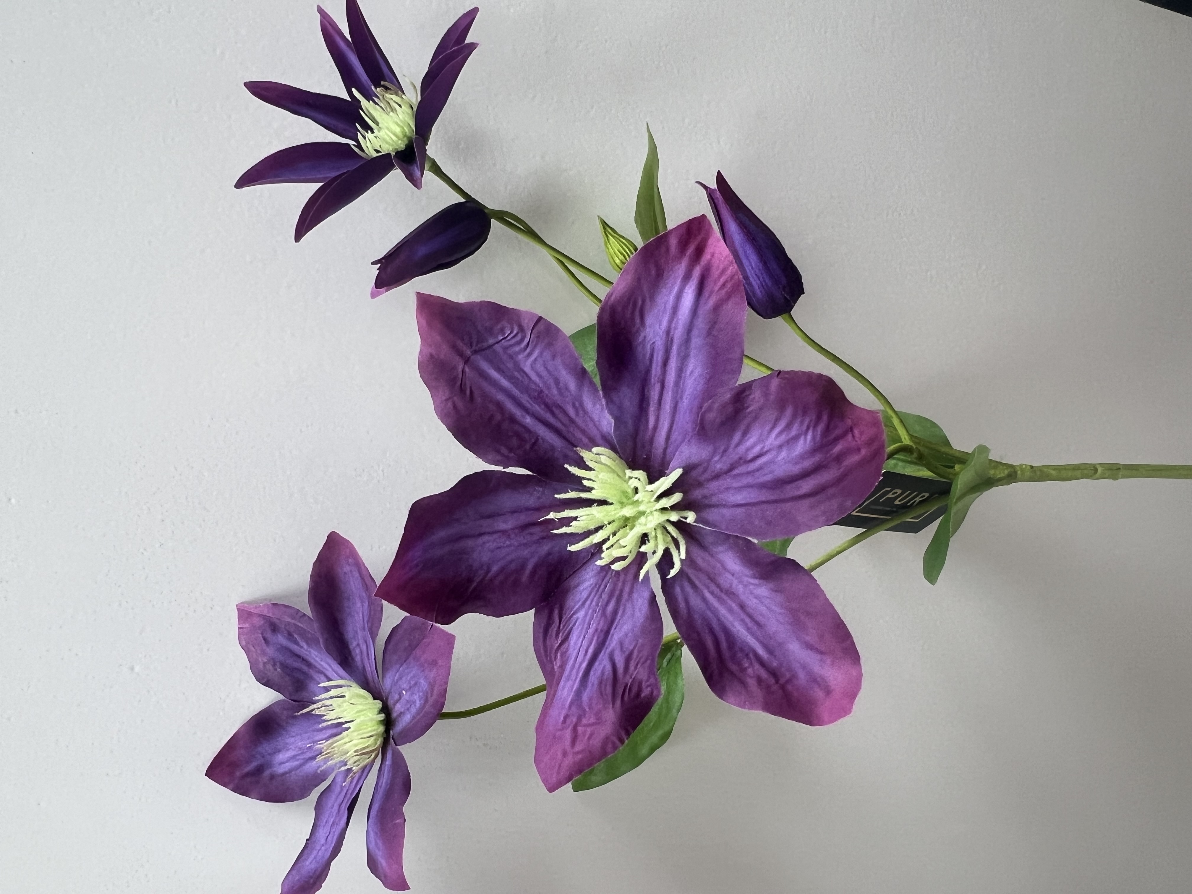 Flower Clematis Spray 67cm Purple