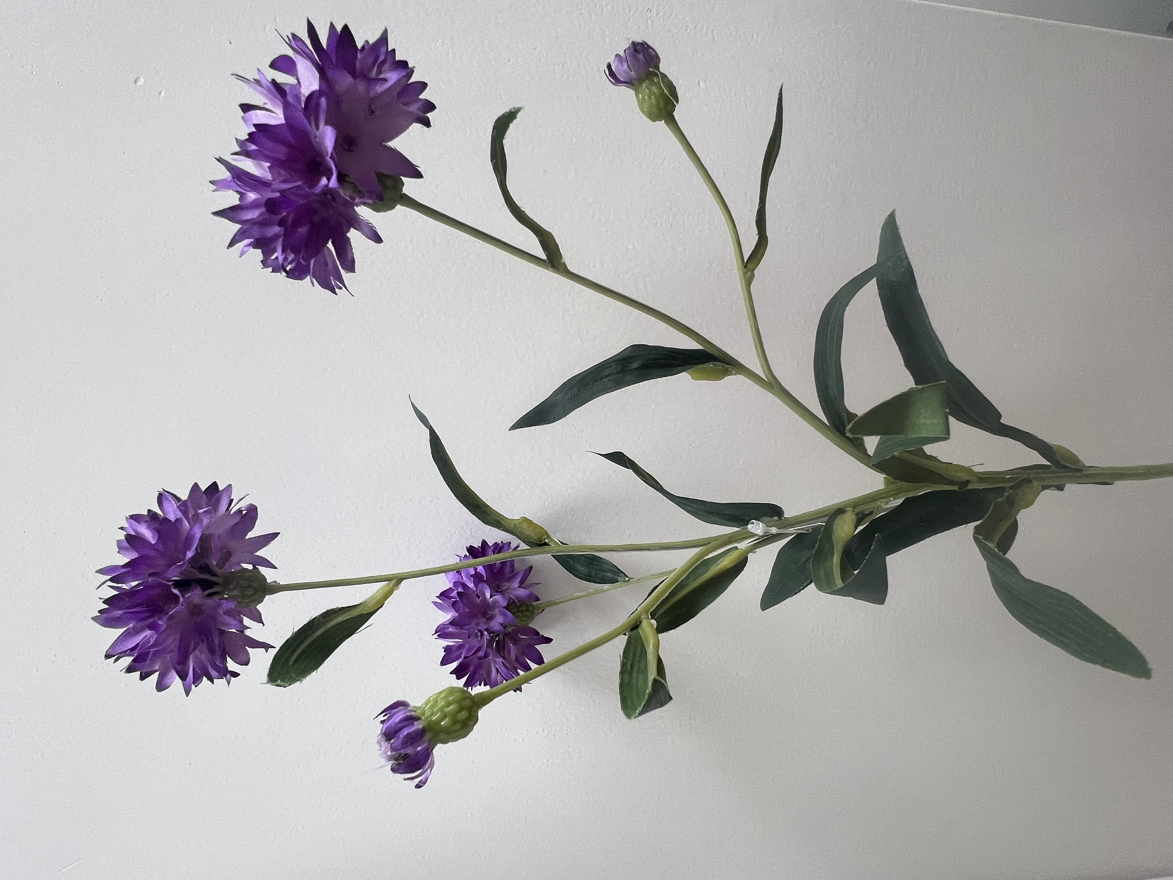 Flower Cornflower Purple 64cm