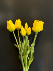 Tulp yellow 45cm