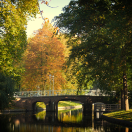 Luxe Onderzetter 17:  De Maliebrug