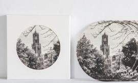 VOORDEELSET: 3 DOOSJES DOMVILTJES