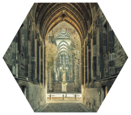 Hexagonprint 'Onder de Dom'