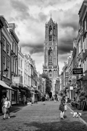 Ansichtkaart 102: De Dom en de Zadelstraat
