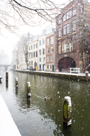 Aluminium Dibond: Winter in Utrecht | Achterzijde panden Lijnmarkt