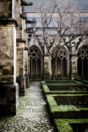 Ansichtkaart: In de pandhof van de Domkerk