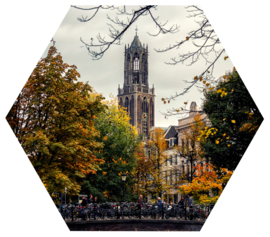 Hexagonprint 'De Dom en de Bakkerbrug'