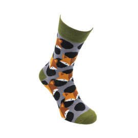 Tintl socks - herensokken Fox