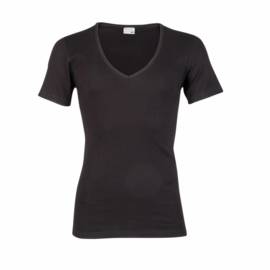 Beeren heren T-shirt diepe V-hals - zwart