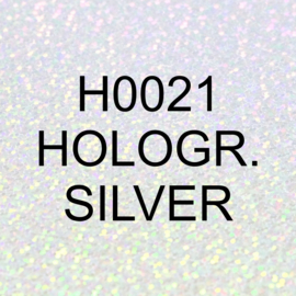 H0021 - Holographic Silver