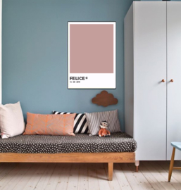 Pantone poster -  (20 kleuren)